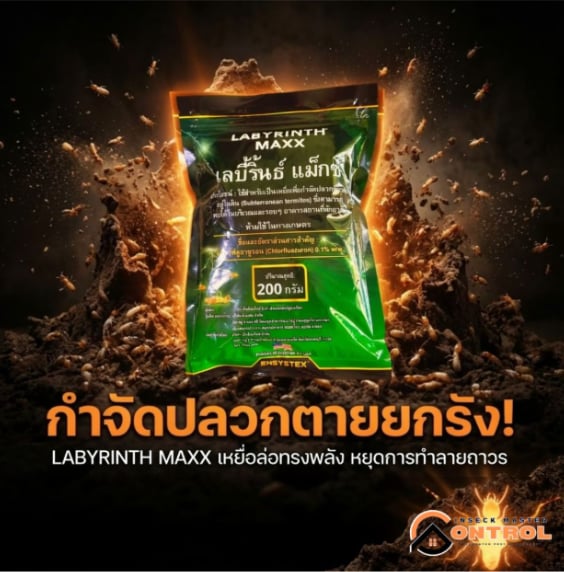 Labyrinth Maxx Product